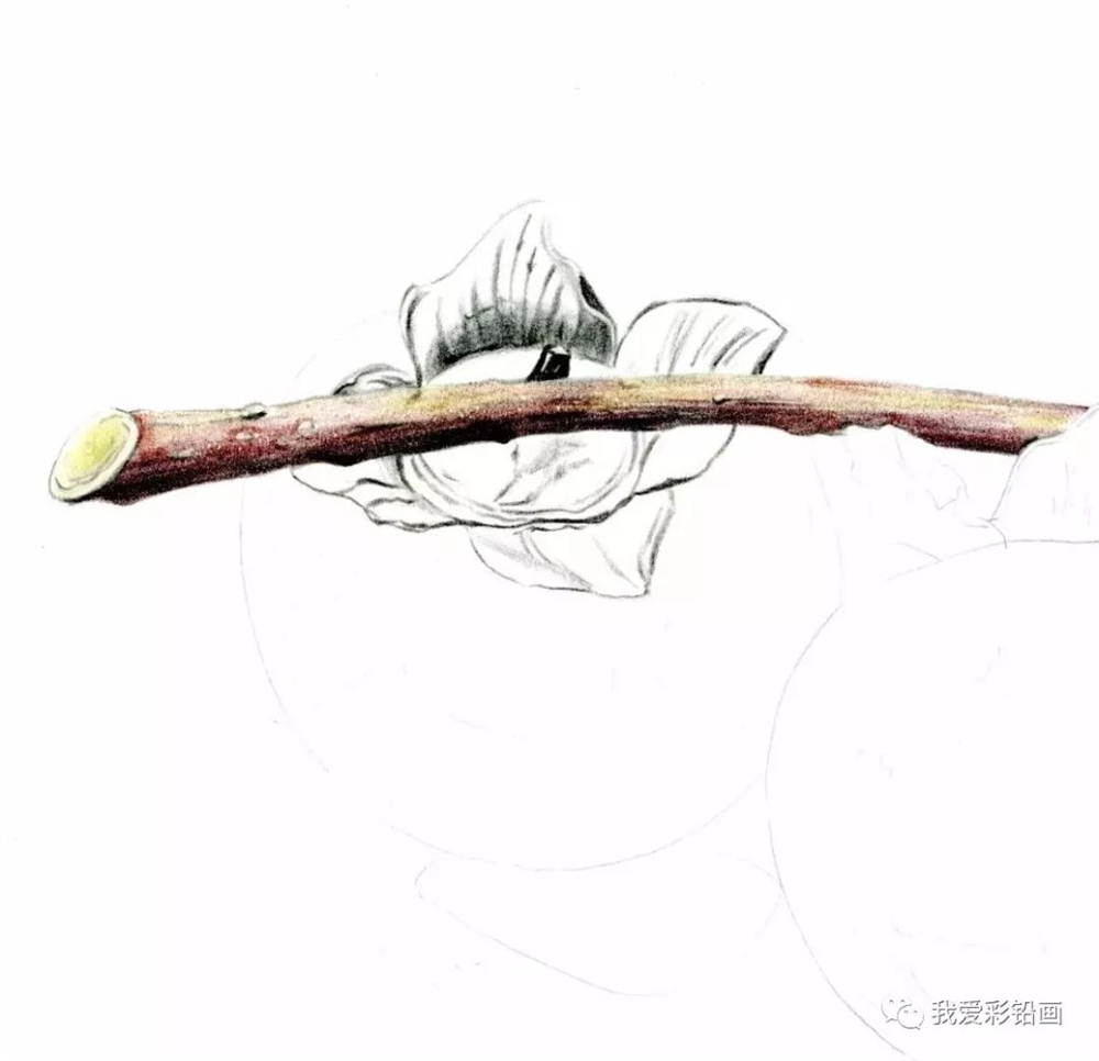 4,180黄棕色整体叠加树枝颜色,271暖棕色 103奶白色叠加树枝上面的亮