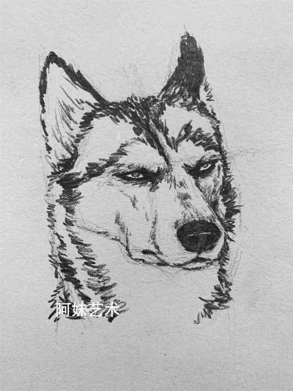 日绘社丨一起来画帅气的二哈_素描绘画教程_零二七艺考