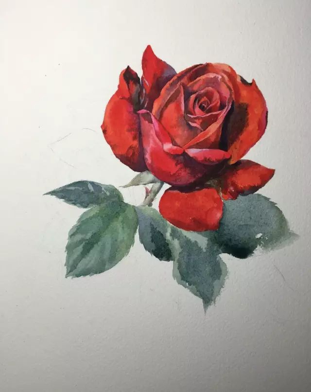 如果在家闲着无聊,那就跟我一起画一朵玫瑰花吧!