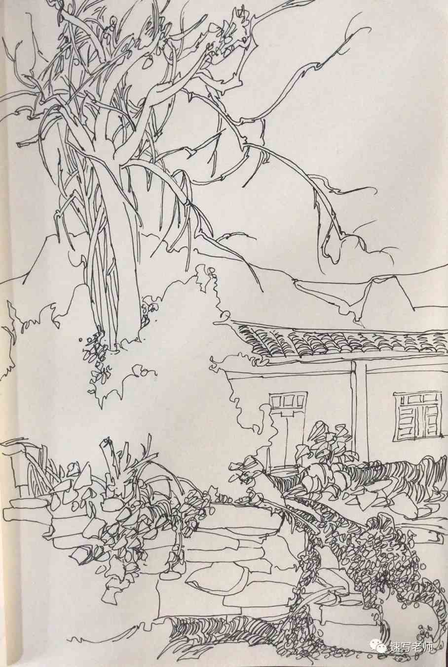 老师推荐|王志军风景_速写交流_零二七艺考