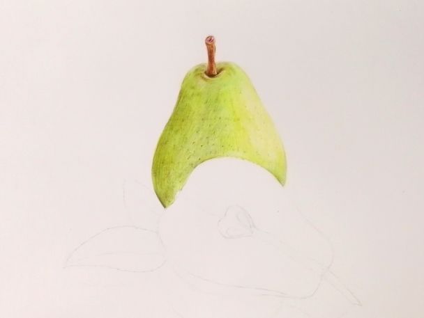 【彩铅教程】教大家如何用彩铅画出逼真的梨子_水粉_零二七艺考