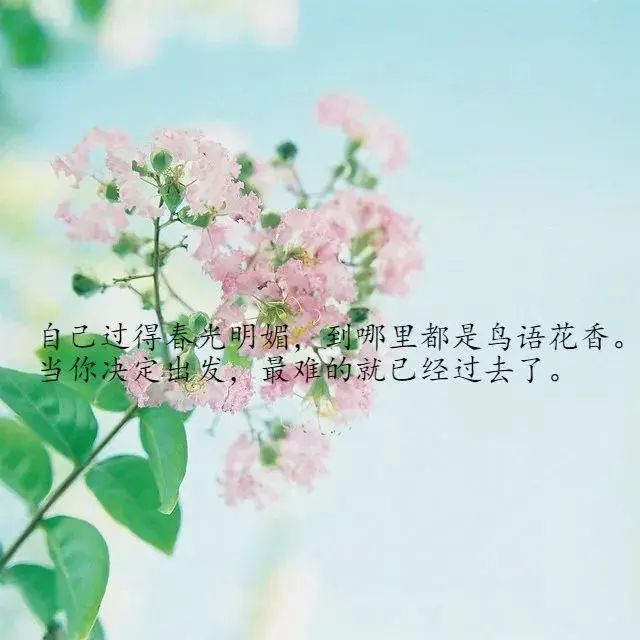 给自己打气的励志句子:凡事先干起来,你就赢了99%的人