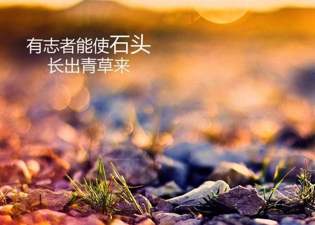 关于放松心灵的励志名言