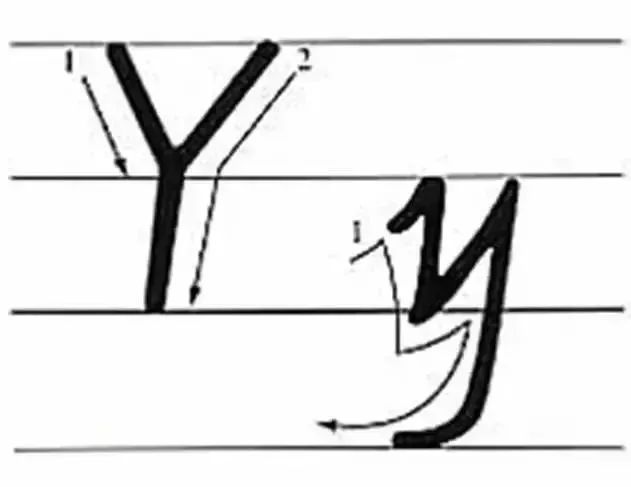 字母要按一定的笔划顺序书写,其书写笔顺如下.