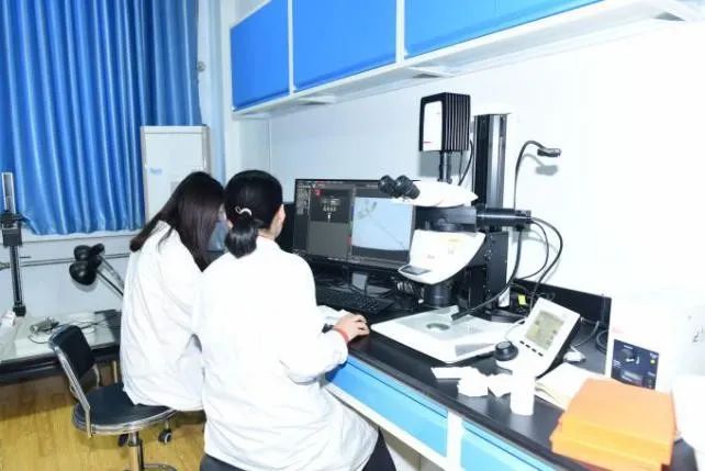 山东师范大学本科招生