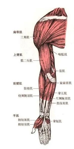 山西师范大学