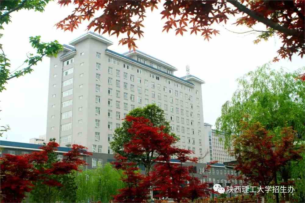 陕西理工大学招生办
