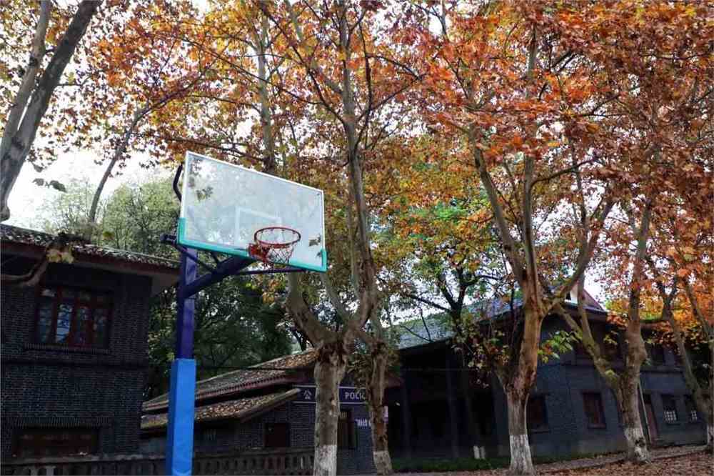 西华师范大学