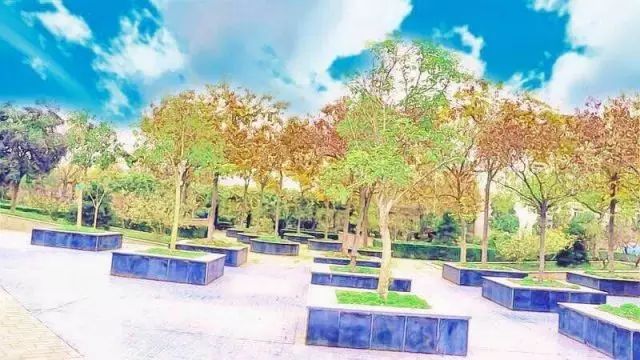 西安交通大学城市学院