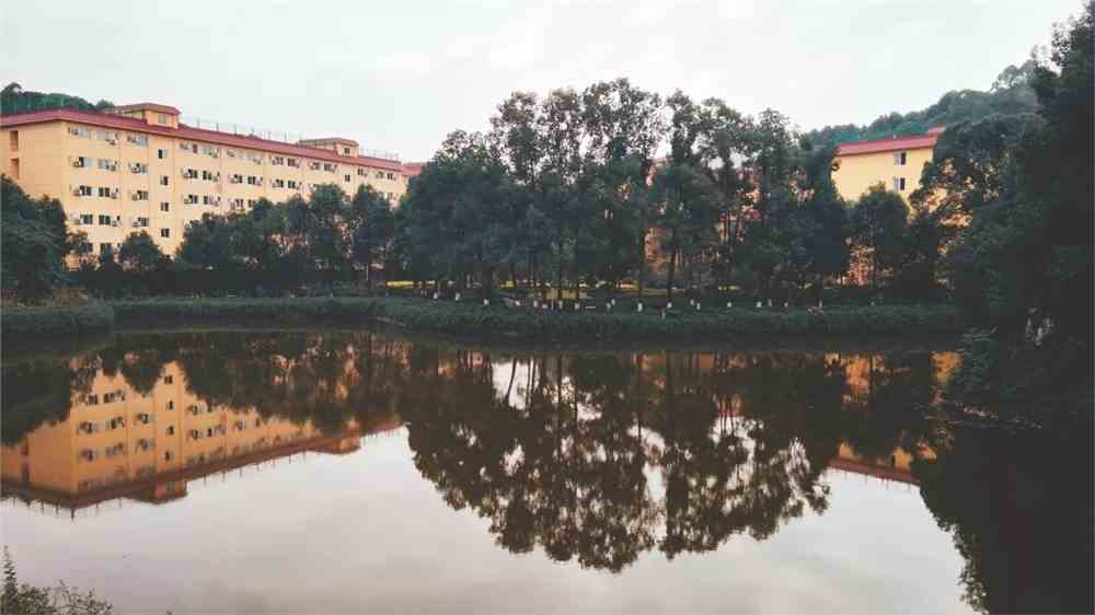 成都理工大学工程技术学院