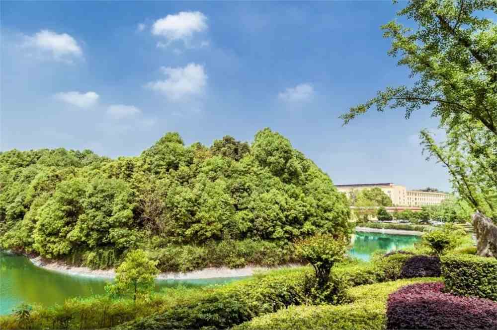 成都理工学院 www.027art.com