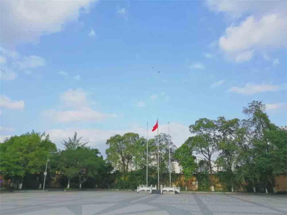 成都理工大学工程技术学院