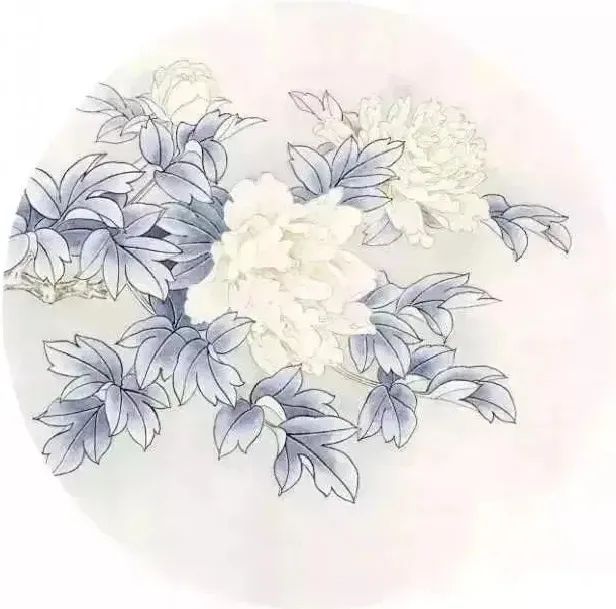 【国画教程】工笔《白牡丹》绘画教程