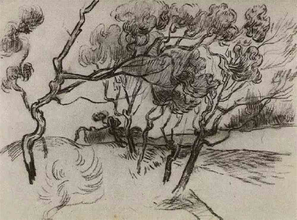 大师梵高素描画—树系列